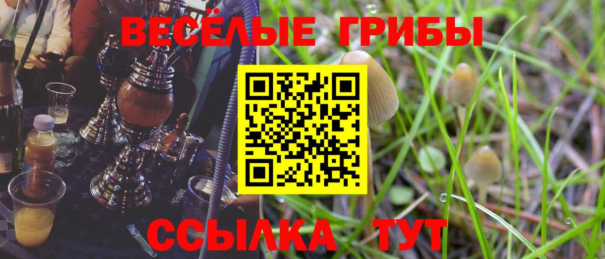 дарнет шоп  Вход с VPN  Южноуральск  Галлюциногенные грибы Psilocybe 